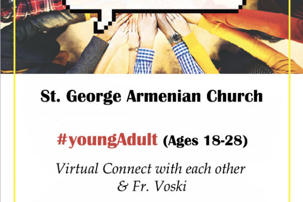 Young Adult Virtual Connect