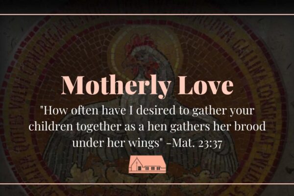 Reflection Motherly love Mat. 23:37