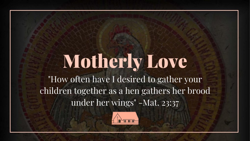 Reflection Motherly love Mat. 23:37
