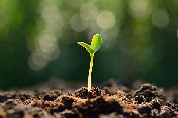 Stewardship fabric of faith and life