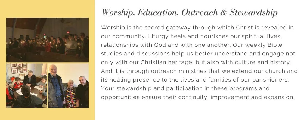 stewardship-2021-4-1200
